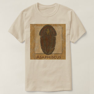 Asaphiscus Fossil Trilobit T-Shirt