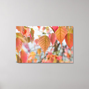 Asathu Pflanze Baby Blätter Laden Buddha Leinwanddruck