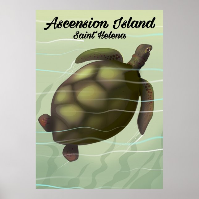Asceninsee Schildkröte Poster (Vorne)