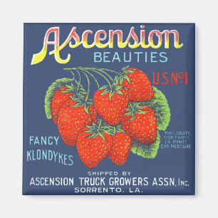 Ascension Beauties Erdbeeren Magnet