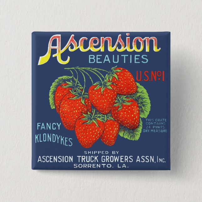 Ascension Beauties Extravagant Klondykes Erdbeeren Button (Vorderseite)