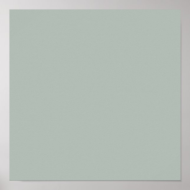 Asche grau (Vollfarbe) Poster (Vorne)
