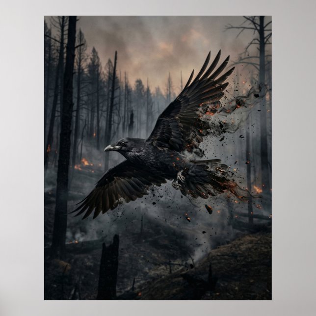 Asche Rabe Verbrannter Wald Himmel Poster (Vorne)