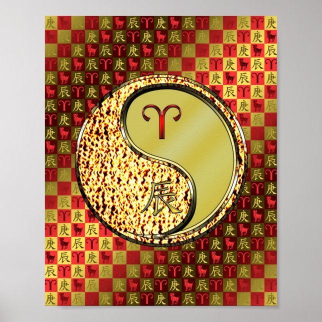 Äsche und Metalldrache Poster (Vorne)