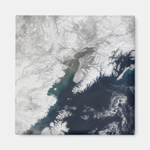 Aschenfeder von BergRedoubt, Alaska Magnet