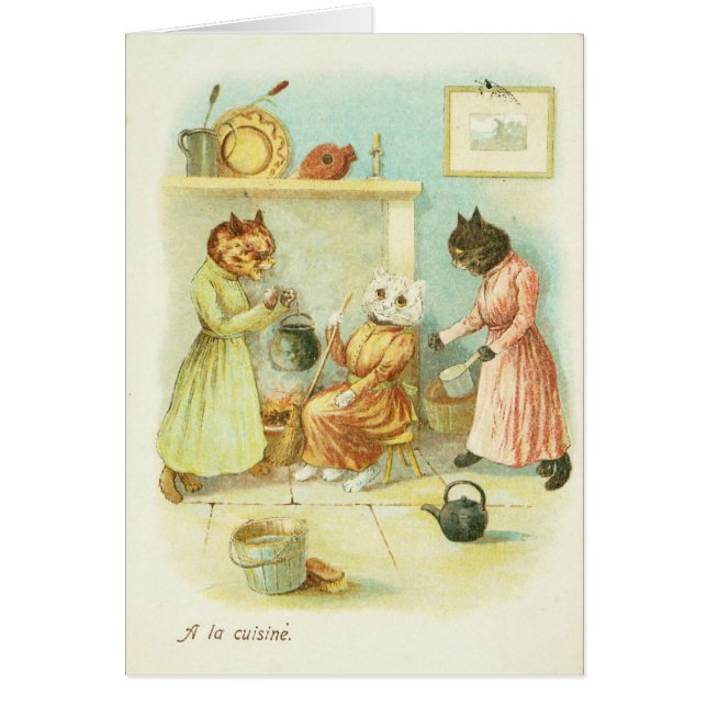 Aschenputtel-Katze (Vorne)