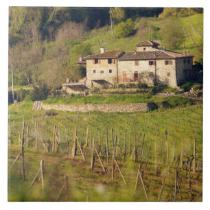 Aschuito, ein Bauernhof, der Gäste empfängt, Fliese