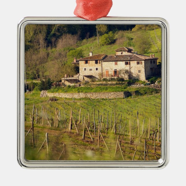 Aschuito, ein Bauernhof, der Gäste empfängt, Silbernes Ornament (Vorne)