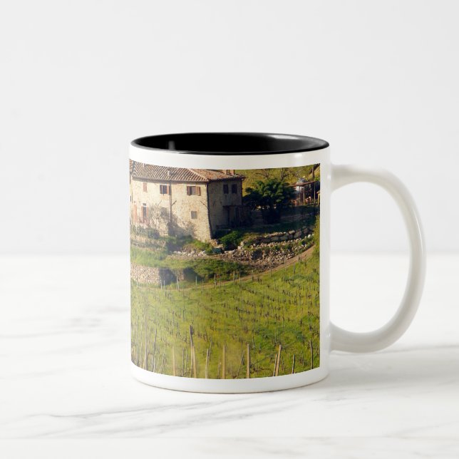 Aschuito, ein Bauernhof, der Gäste empfängt, Zweifarbige Tasse (Rechts)