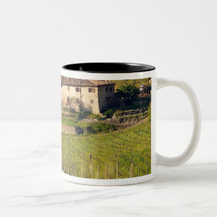 Aschuito, ein landwirtschaftlicher Betrieb, der Gä Zweifarbige Tasse