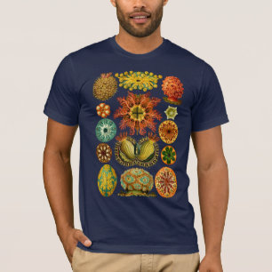 ASCIDIACEA HAECKELS - T - Shirt
