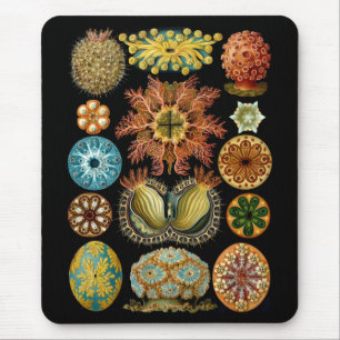 Ascidiacea Mousepad