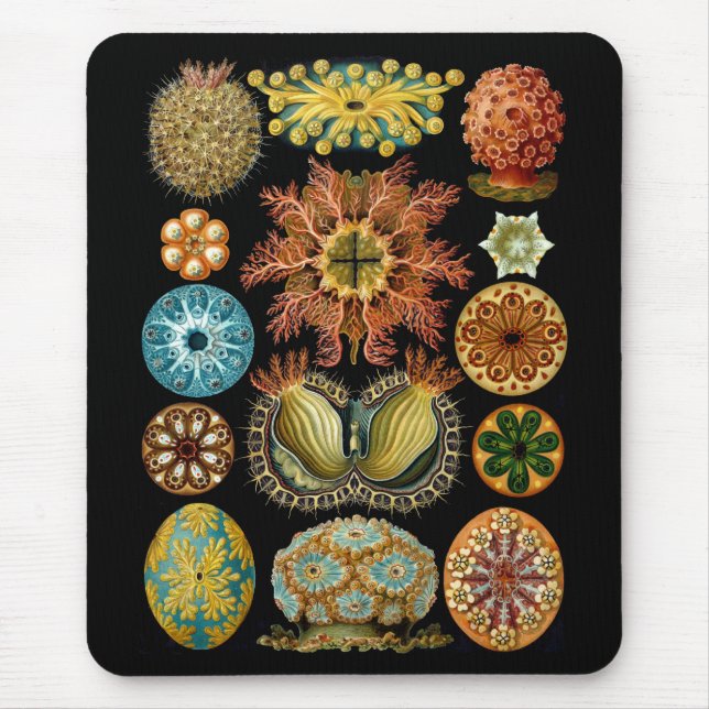Ascidiacea Mousepad (Vorne)