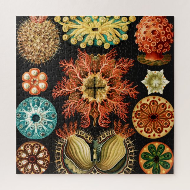 Ascidiae, Seescheiden Marine Life von Ernst Haecke Puzzle (Vertikal)