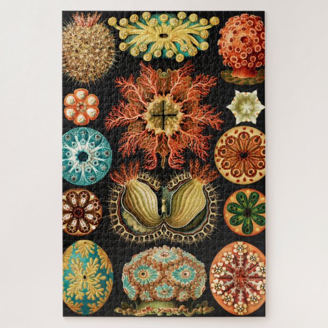 Ascidiae, Seescheiden Marine Life von Ernst Haecke Puzzle (Vertikal)