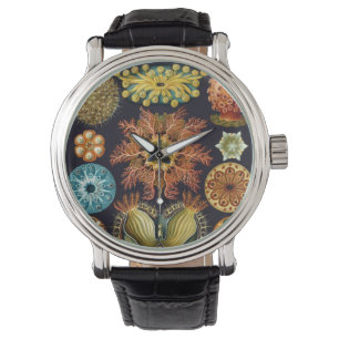 Ascidiae von Ernst Haeckel, Vintage Meereslebewese Armbanduhr