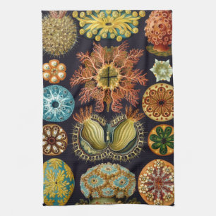 Ascidiae von Ernst Haeckel, Vintage-Meereslebewese Geschirrtuch
