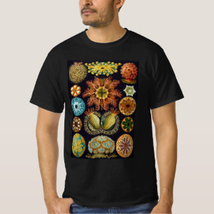 Ascidiae von Ernst Haeckel, Vintage-Meereslebewese T-Shirt
