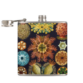 Ascidiae von Ernst Haeckel, Vintage Meerestiere Flachmann