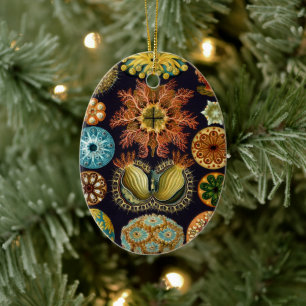 Ascidiae von Ernst Haeckel, Vintage Meerestiere Keramikornament