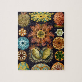 Ascidiae von Ernst Haeckel, Vintage Meerestiere Puzzle