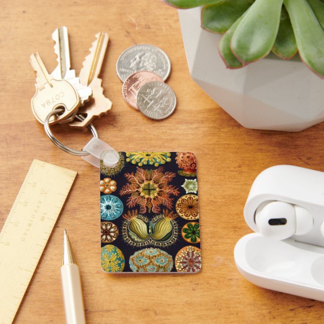 Ascidiae von Ernst Haeckel, Vintage Meerestiere Schlüsselanhänger (Schreibtisch)