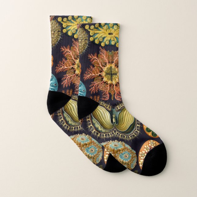 Ascidiae von Ernst Haeckel, Vintage Meerestiere Socken (Paar)