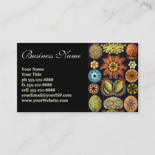 Ascidiae von Ernst Haeckel, Vintage Meerestiere Visitenkarte (Vorderseite)