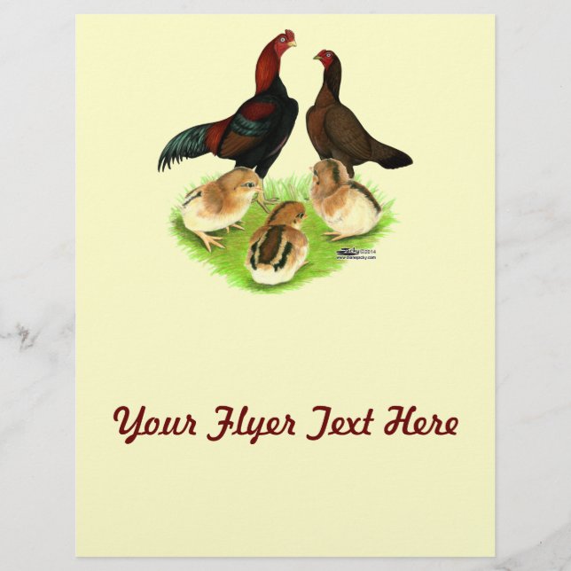 Aseel Black Red Chicken Family (Vorderseite)