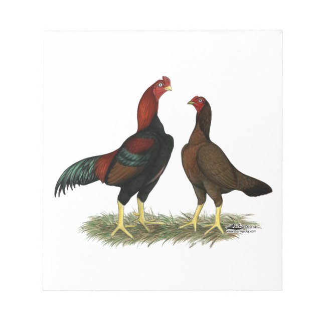 Aseel Black Red Chickens Notizblock (Vorderseite)