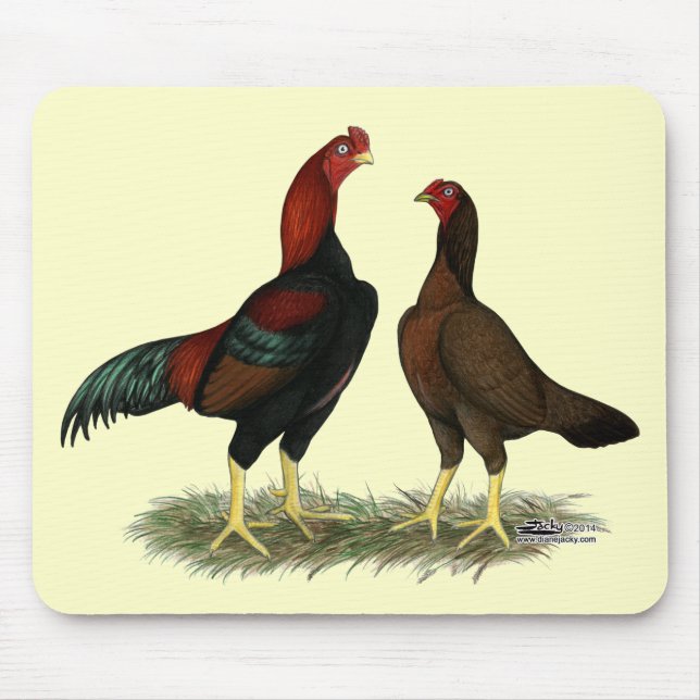 Aseel Schwarz Rot Hühner Mousepad (Vorne)