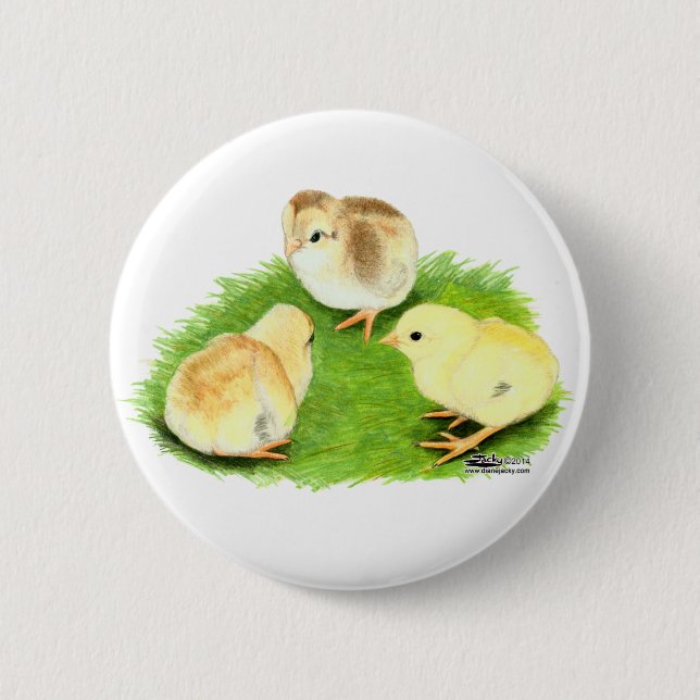 Aseel Weizen Küken Button (Vorderseite)