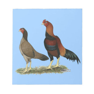Aseel Wheaten Chickens Notizblock