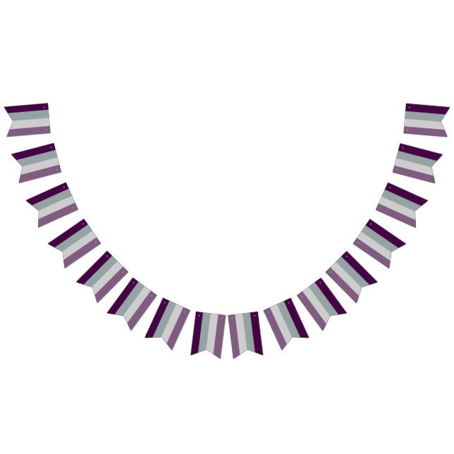 Asexual Flag Bunting Banner LGBT-Party (Alle)