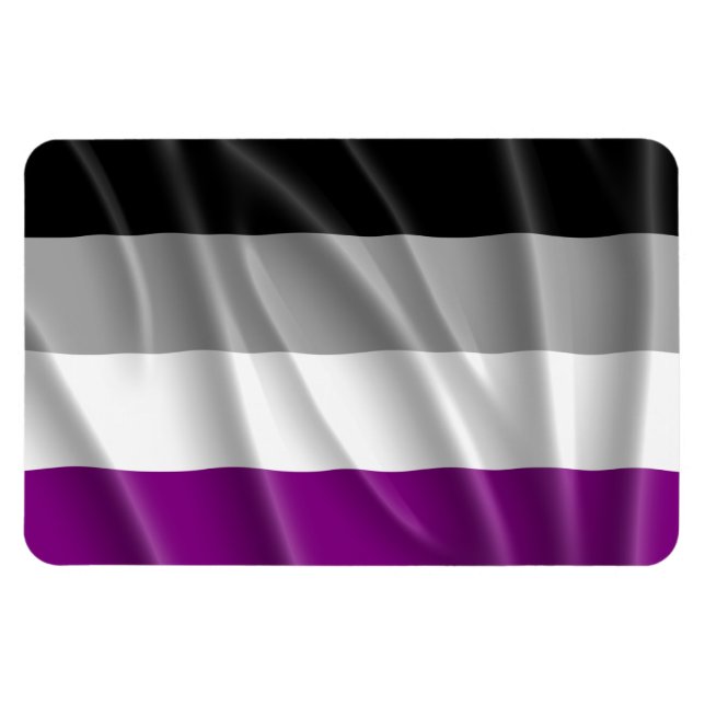 ASEXUAL FLAG FLYING -.png Magnet (Horizontal)