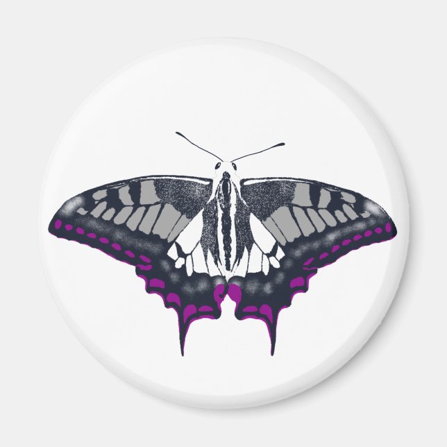 Asexual Flag Frack Butterfly Magnet (Vorne)