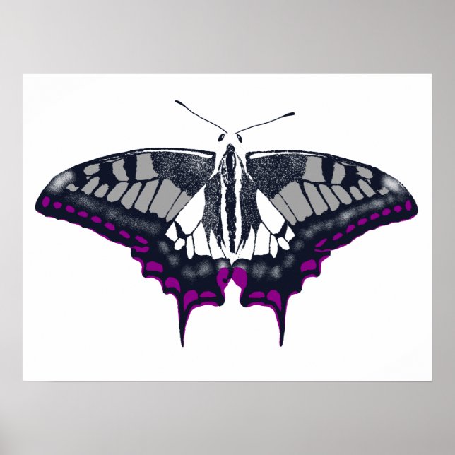 Asexual Flag Swallowtail Butterfly Poster (Vorne)