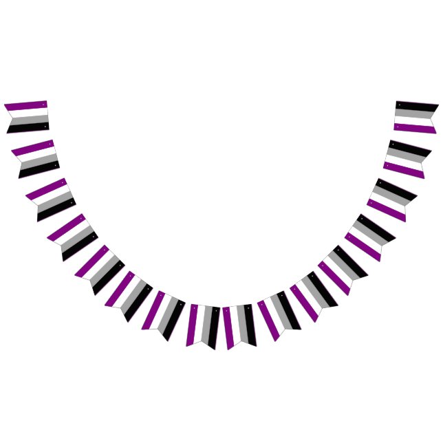 Asexuelle Pride-Flagge Wimpelkette (Alle)