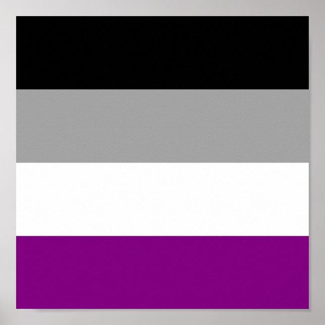 Asexueller Stolz Poster (Vorne)