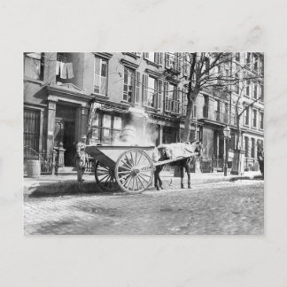 Ash Cart New York 1896 Postkarte