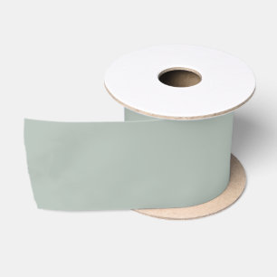 Ash Gray Wide Satin Ribbon Satinband