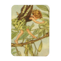 Ash Tree Fairy Walking auf Zweig