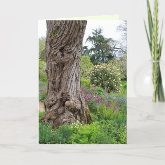 Ash Tree texturierte Rindenmuster Hidcote Garden Karte