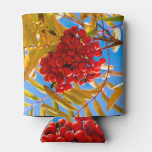 Ashberry Dosenkühler