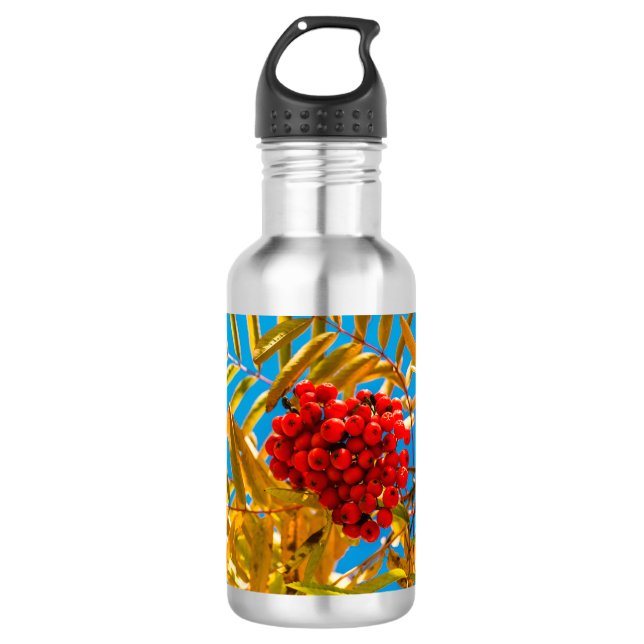 Ashberry Trinkflasche (Vorderseite)