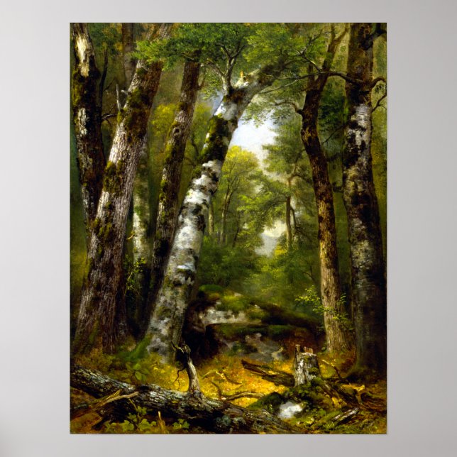 Asher B. Durand Woodland Glen Poster (Vorne)