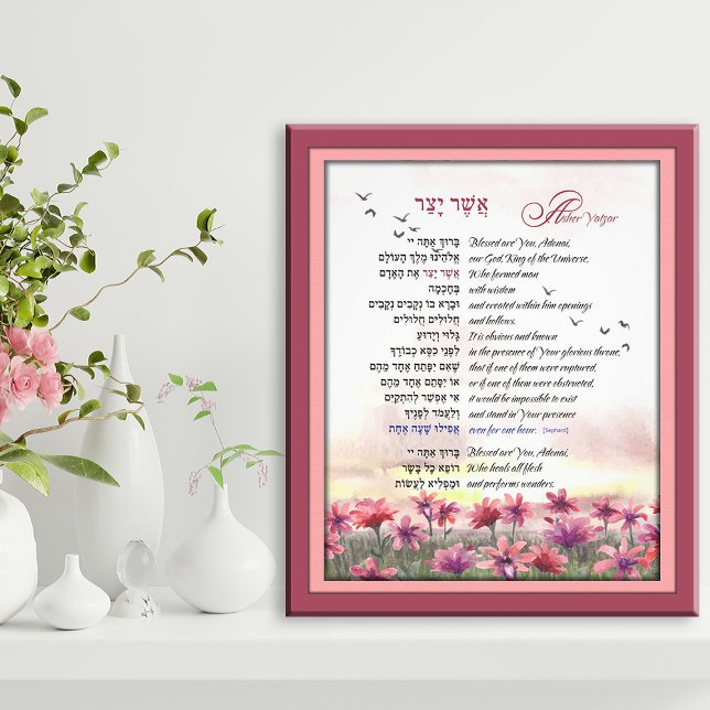 Asher Yatzar Hebrew Morning Gebet Rosa Roter Kosmo Fotodruck (Von Creator hochgeladen)