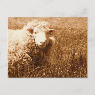 Ashley in Sepia Postkarte