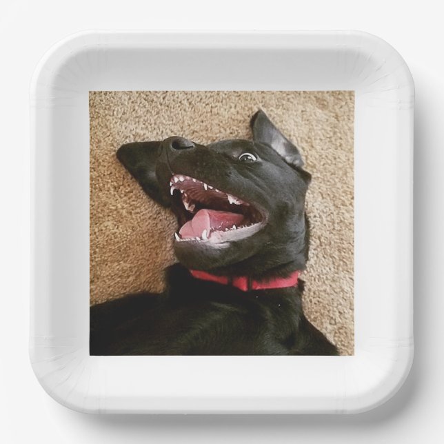 Ashley Noms Tellers Pappteller (Vorderseite)