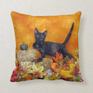 Ashlynns Herbstkissen ( Katze / Kitten) Kissen